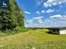 Parduodamas  sklypas Jurgiškių g., Jurgiškių k., Alytaus r. sav., 45.63 a ploto 10
