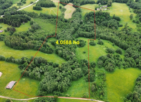 Parduodamas  sklypas Gaidžių k., Utenos r. sav., 405.88 a ploto