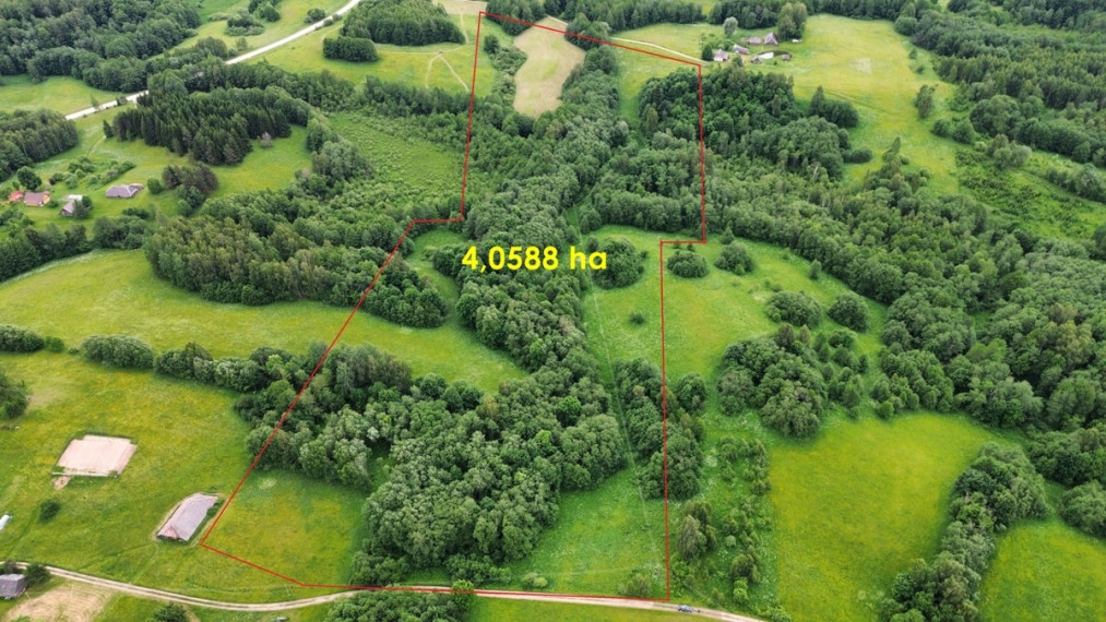 Parduodamas sklypas Gaidžių k., Utenos r. sav., 405.88 a ploto 1