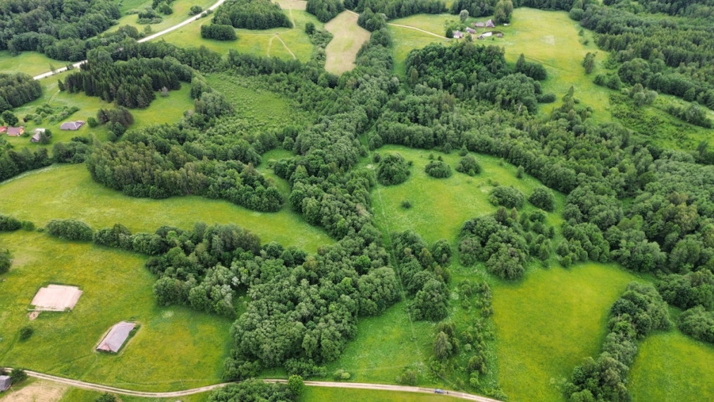Parduodamas sklypas Gaidžių k., Utenos r. sav., 405.88 a ploto 2