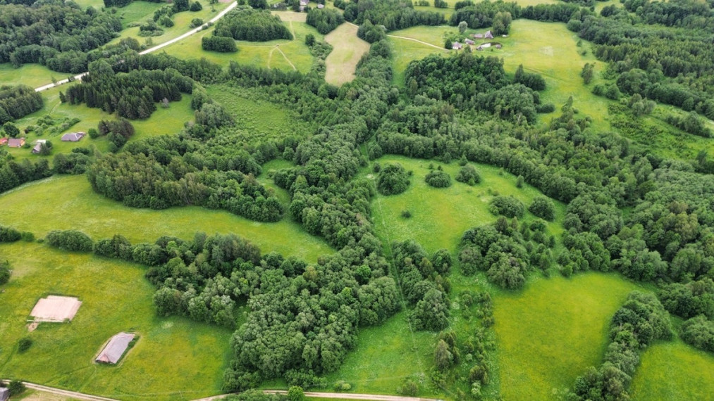 Parduodamas sklypas Gaidžių k., Utenos r. sav., 405.88 a ploto 3