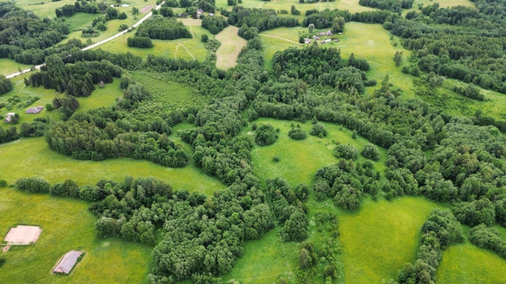 Parduodamas sklypas Gaidžių k., Utenos r. sav., 405.88 a ploto 4