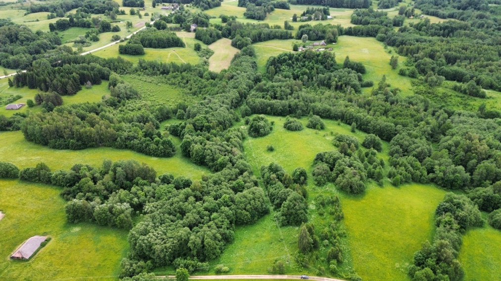 Parduodamas sklypas Gaidžių k., Utenos r. sav., 405.88 a ploto 5