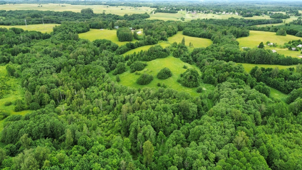 Parduodamas sklypas Gaidžių k., Utenos r. sav., 405.88 a ploto 6