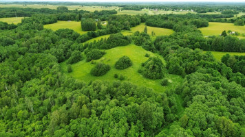 Parduodamas  sklypas Gaidžių k., Utenos r. sav., 405.88 a ploto 7