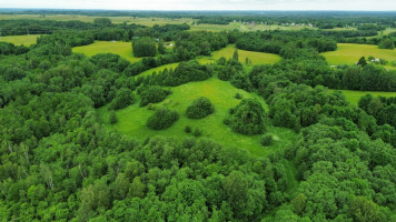 Parduodamas  sklypas Gaidžių k., Utenos r. sav., 405.88 a ploto 8