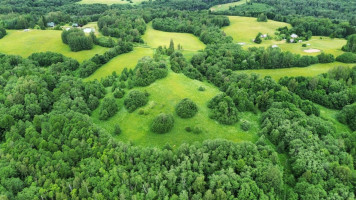 Parduodamas  sklypas Gaidžių k., Utenos r. sav., 405.88 a ploto 9