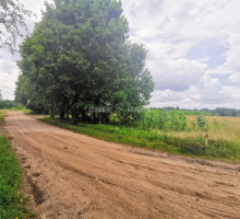 Parduodamas komercinės paskirties sklypas Užugirio g., Neravų k., Druskininkų sav., 201 a ploto 7
