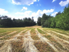 Parduodamas namas Želvos mstl., Ukmergės r. sav., 60.86 m² ploto 2 kambariai 9
