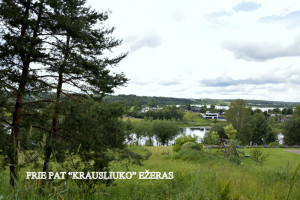 Parduodamas kitos paskirties sklypas Kalno g., Grigiškės, Vilniaus m., Vilniaus m. sav., 12 a ploto 24