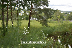 Parduodamas kitos paskirties sklypas Kalno g., Grigiškės, Vilniaus m., Vilniaus m. sav., 12 a ploto 25