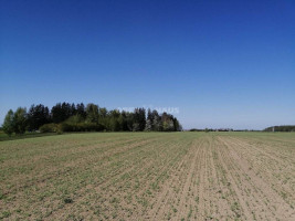 Parduodamas  sklypas Minijos g., Kvietinių k., Klaipėdos r. sav., 180 a ploto 2
