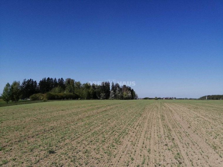 Parduodamas sklypas Minijos g., Kvietinių k., Klaipėdos r. sav., 180 a ploto 2