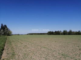Parduodamas  sklypas Minijos g., Kvietinių k., Klaipėdos r. sav., 180 a ploto 3