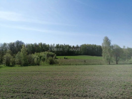 Parduodamas  sklypas Minijos g., Kvietinių k., Klaipėdos r. sav., 180 a ploto 4