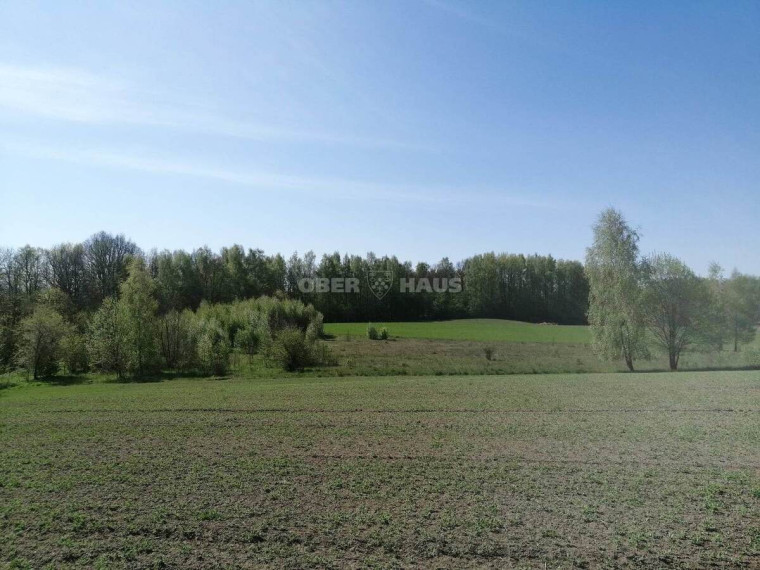 Parduodamas sklypas Minijos g., Kvietinių k., Klaipėdos r. sav., 180 a ploto 4
