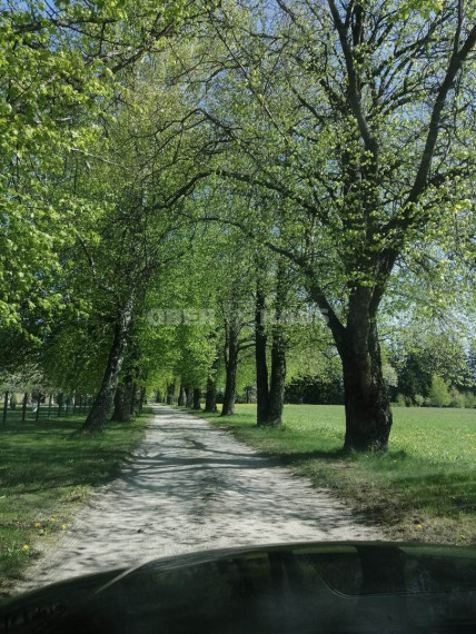Parduodamas sklypas Minijos g., Kvietinių k., Klaipėdos r. sav., 180 a ploto 5