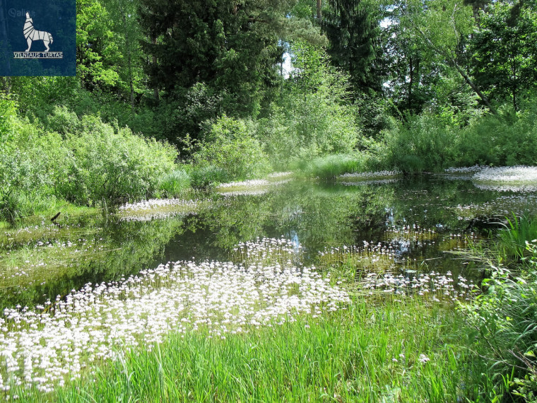 Parduodamas kitos paskirties sklypas Gailašių k., Vilniaus r. sav., 5300 a ploto 11