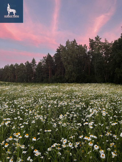 Parduodamas kitos paskirties sklypas Gailašių k., Vilniaus r. sav., 5300 a ploto 14