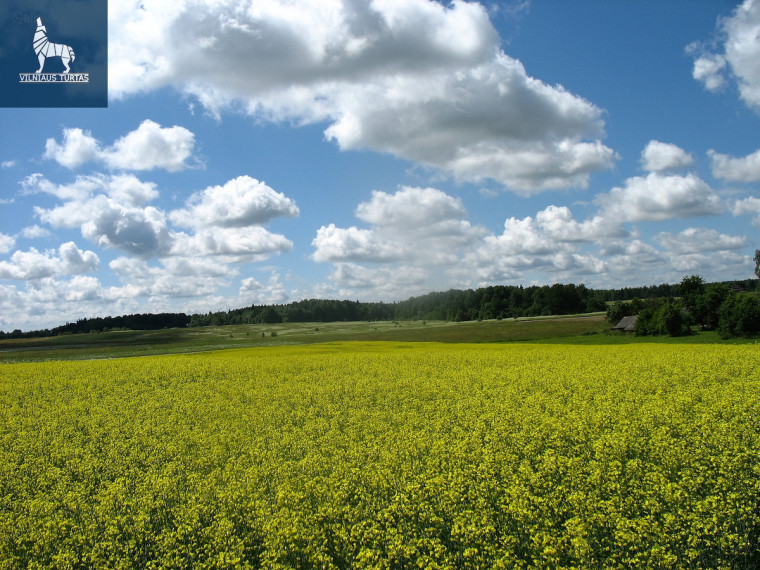 Parduodamas kitos paskirties sklypas Gailašių k., Vilniaus r. sav., 5300 a ploto 2