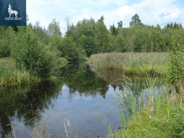 Parduodamas kitos paskirties sklypas Gailašių k., Vilniaus r. sav., 5300 a ploto 2