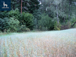 Parduodamas kitos paskirties sklypas Gailašių k., Vilniaus r. sav., 5300 a ploto 3
