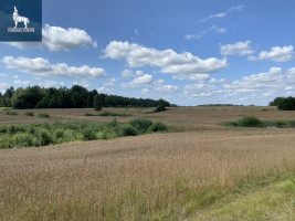 Parduodamas kitos paskirties sklypas Gailašių k., Vilniaus r. sav., 5300 a ploto 4