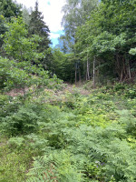 Parduodamas sklypas Bajorų Sodų g., Bajorai, Vilniaus m., Vilniaus m. sav., 11.27 a ploto 11