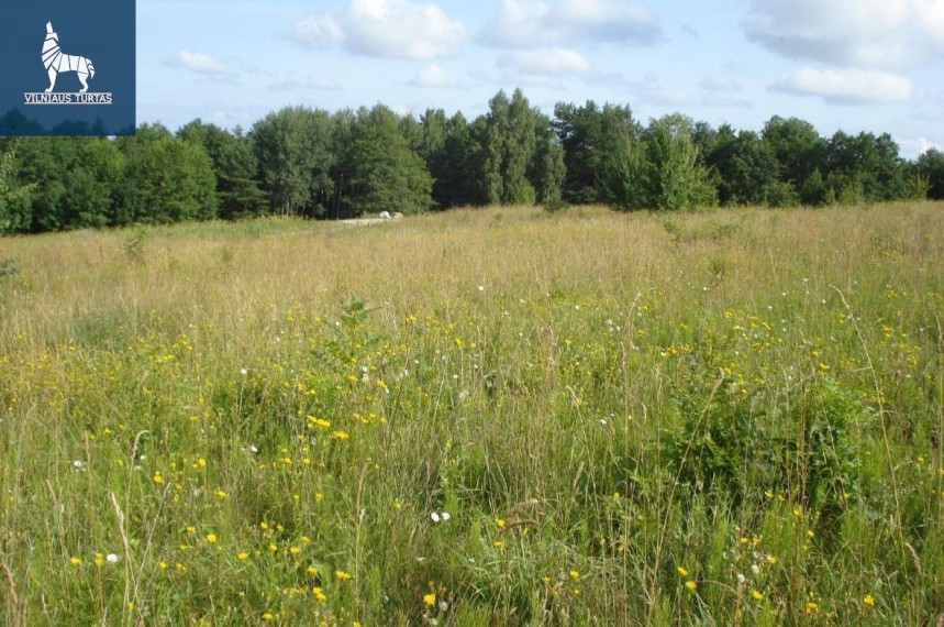 Parduodamas kitos paskirties sklypas ežero g., Liubavo k., Kalvarijos sav., 22.06 a ploto 8