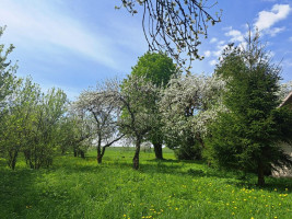 Parduodamas namas Lemantaučiznos vs., Širvintų r. sav., 63 m² ploto 2 kambariai 11