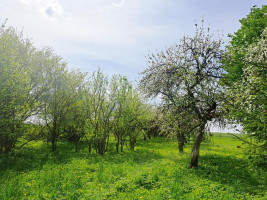 Parduodamas namas Lemantaučiznos vs., Širvintų r. sav., 63 m² ploto 2 kambariai 12