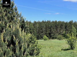 Parduodamas 9 namų valdos sklypų masyvas Gailiūnų k. šalia miško 7
