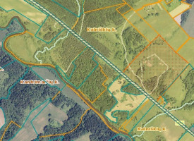 Parduodamas  sklypas Kalniškių I k., Raseinių r. sav., 3145 a ploto 7