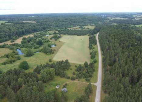 Parduodamas  sklypas Kalniškių I k., Raseinių r. sav., 3145 a ploto