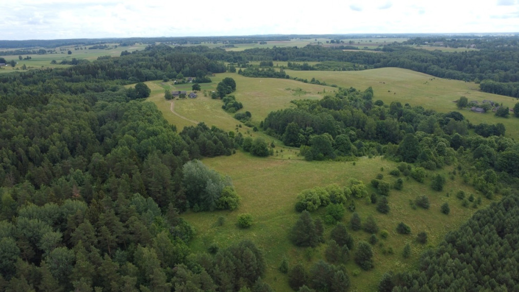 Parduodamas sklypas Kalniškių I k., Raseinių r. sav., 3145 a ploto 2