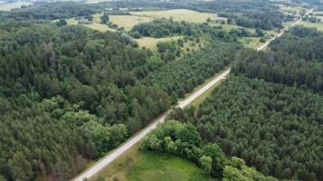 Parduodamas  sklypas Kalniškių I k., Raseinių r. sav., 3145 a ploto 3
