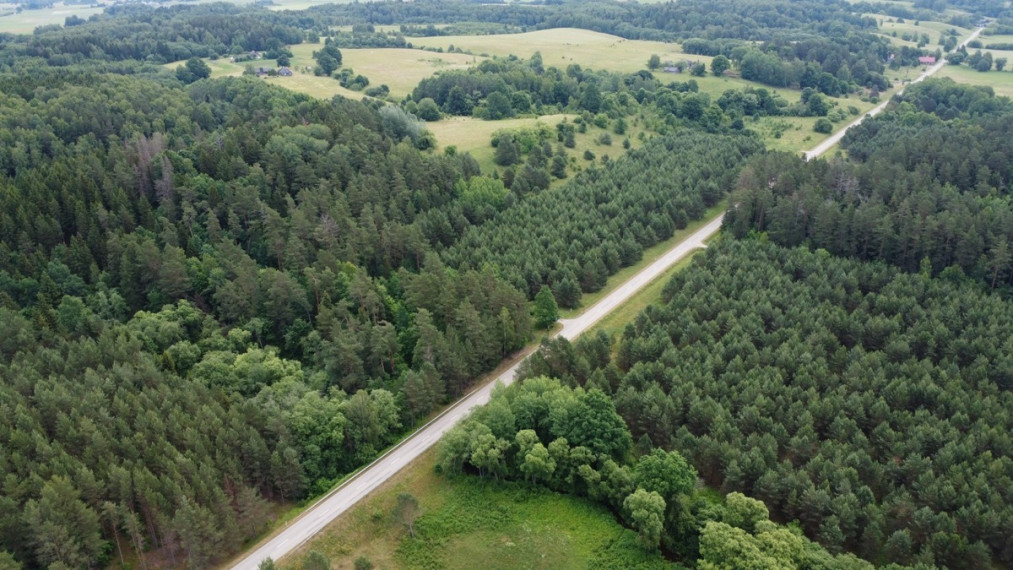 Parduodamas sklypas Kalniškių I k., Raseinių r. sav., 3145 a ploto 3