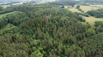 Parduodamas  sklypas Kalniškių I k., Raseinių r. sav., 3145 a ploto 4