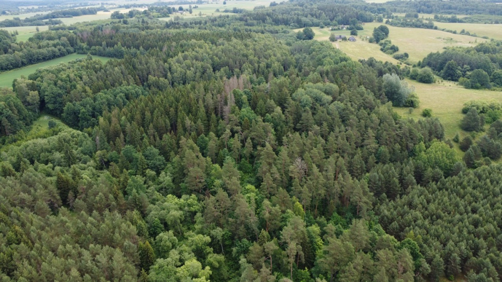 Parduodamas sklypas Kalniškių I k., Raseinių r. sav., 3145 a ploto 4
