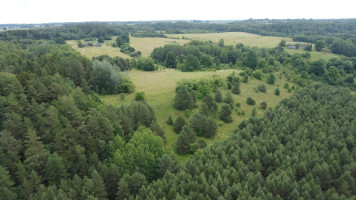 Parduodamas  sklypas Kalniškių I k., Raseinių r. sav., 3145 a ploto 5