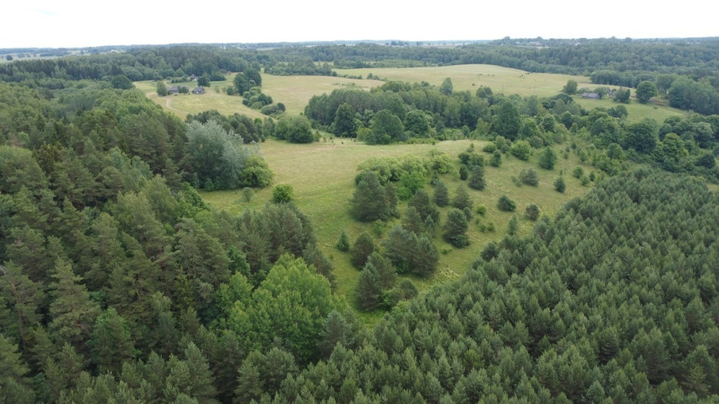 Parduodamas sklypas Kalniškių I k., Raseinių r. sav., 3145 a ploto 5