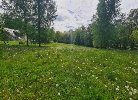 Parduodamas  sklypas Šilainių pl., Romainiai, Kauno m., Kauno m. sav., 55.38 a ploto
