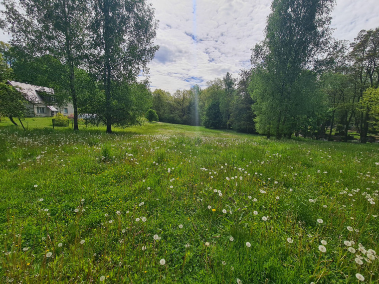 Parduodamas sklypas Šilainių pl., Romainiai, Kauno m., Kauno m. sav., 55.38 a ploto 1