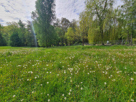 Parduodamas  sklypas Šilainių pl., Romainiai, Kauno m., Kauno m. sav., 55.38 a ploto 2