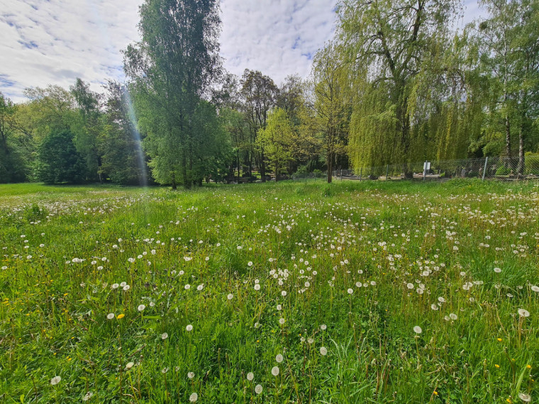 Parduodamas sklypas Šilainių pl., Romainiai, Kauno m., Kauno m. sav., 55.38 a ploto 2