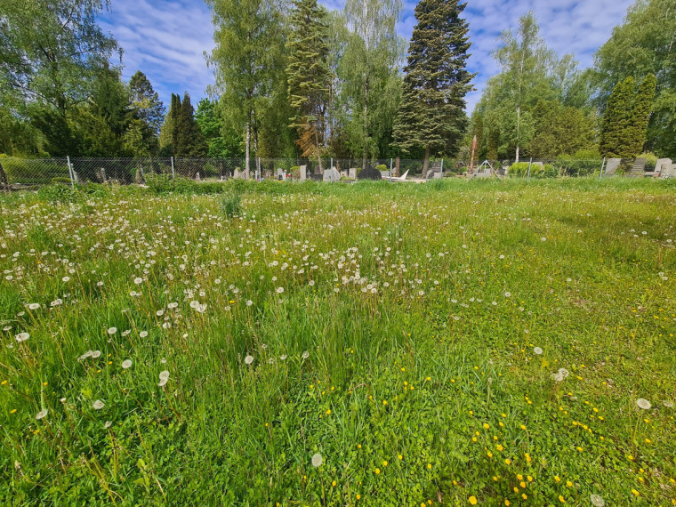 Parduodamas sklypas Šilainių pl., Romainiai, Kauno m., Kauno m. sav., 55.38 a ploto 3