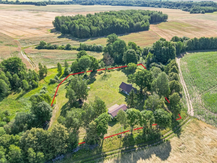Parduodamas kitos paskirties sklypas Padargupių k., Raseinių r. sav., 60.84 a ploto 3