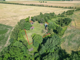 Parduodamas kitos paskirties sklypas Padargupių k., Raseinių r. sav., 60.84 a ploto 9
