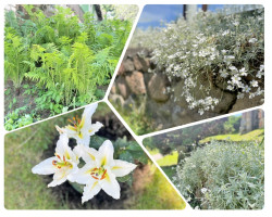 Parduodamas namas Kariotiškių g., Kariotiškių k., Trakų r. sav., 152.33 m2 ploto, 2 aukštai 33