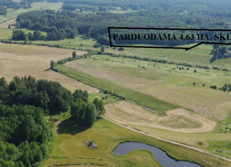 Parduodamas sklypas Ilgininkų k., Varėnos r. sav., 463.00 a ploto